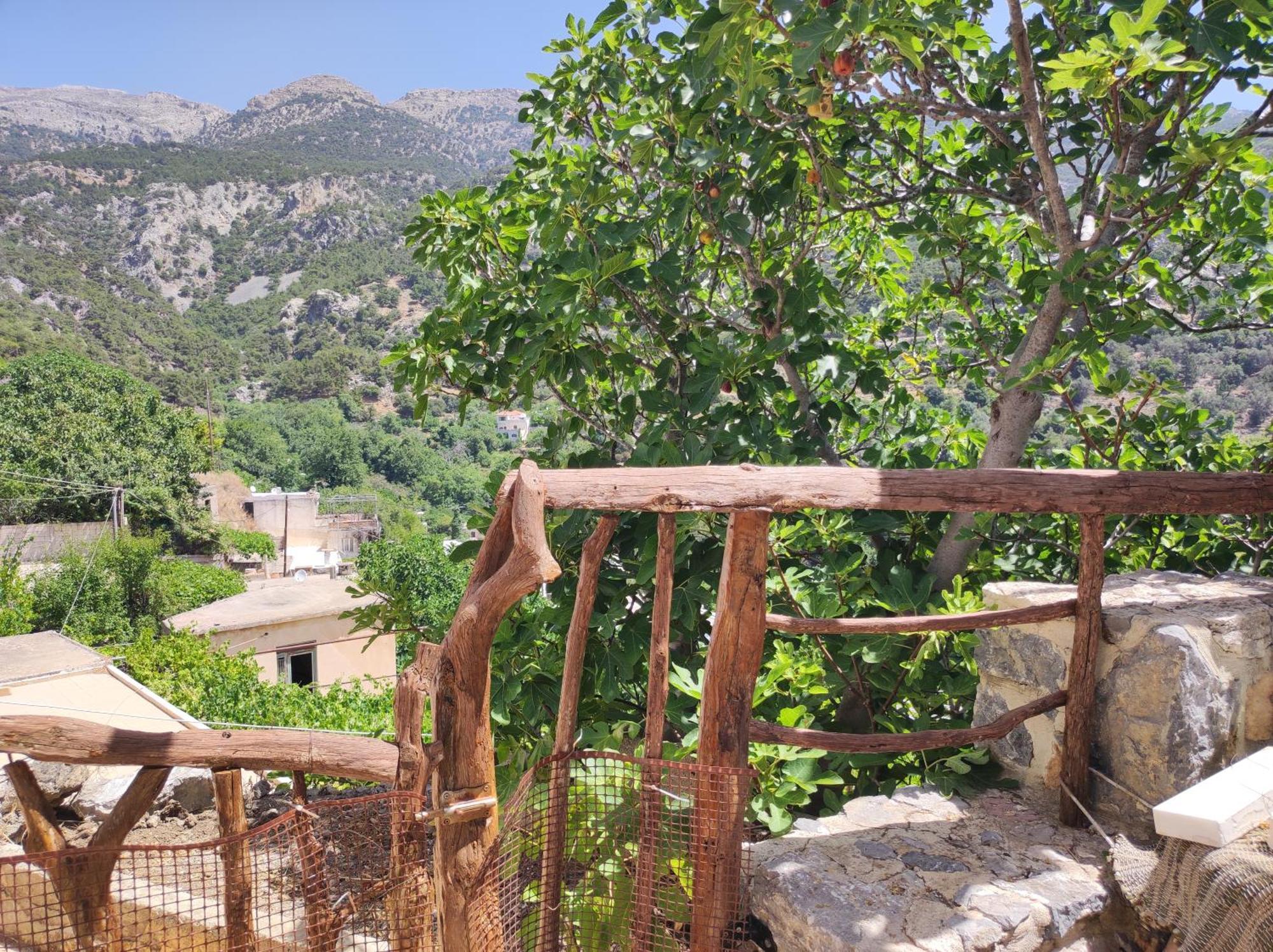 Вілла Kato Symi House Kato Simi Екстер'єр фото